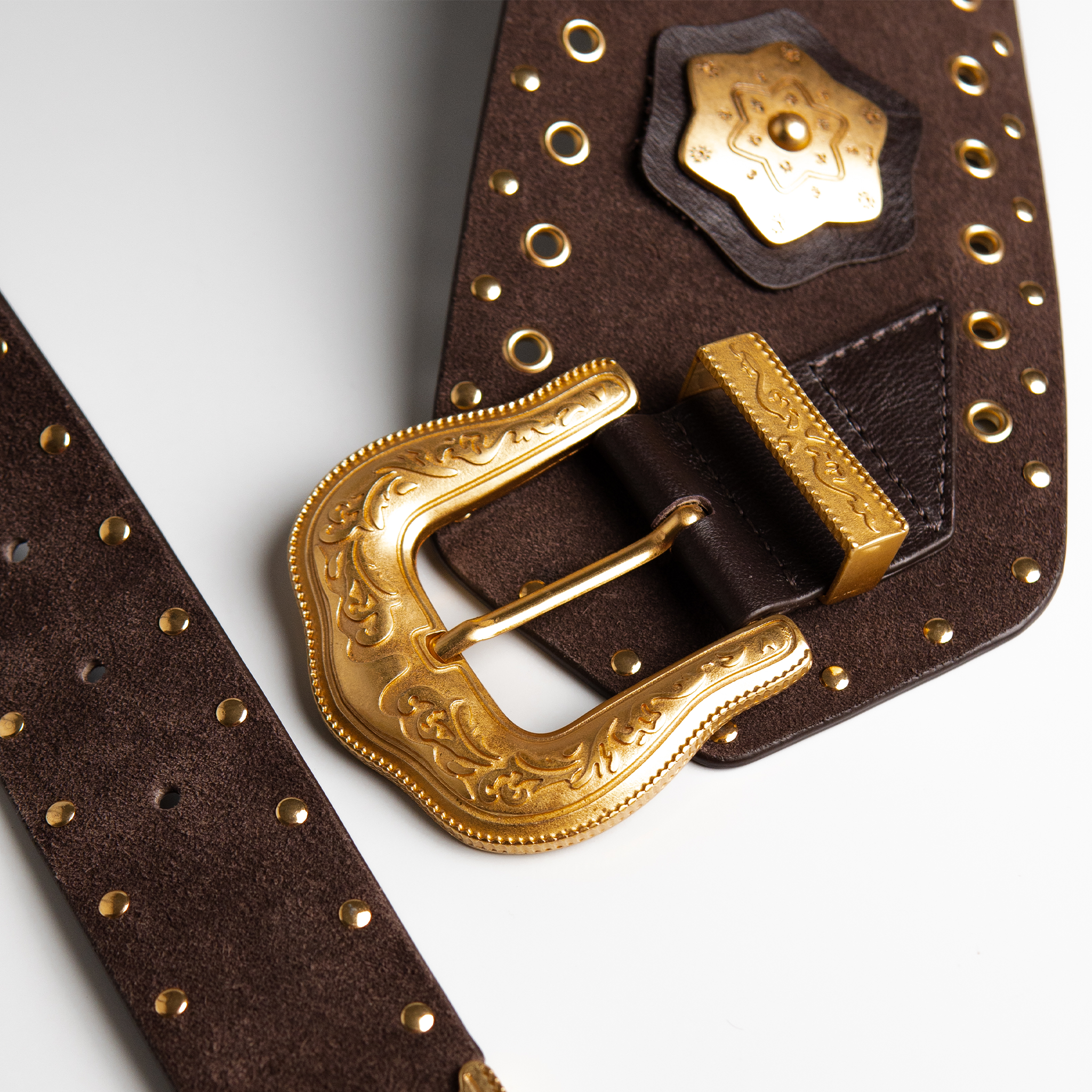 Cinto Taylor Café WOOW