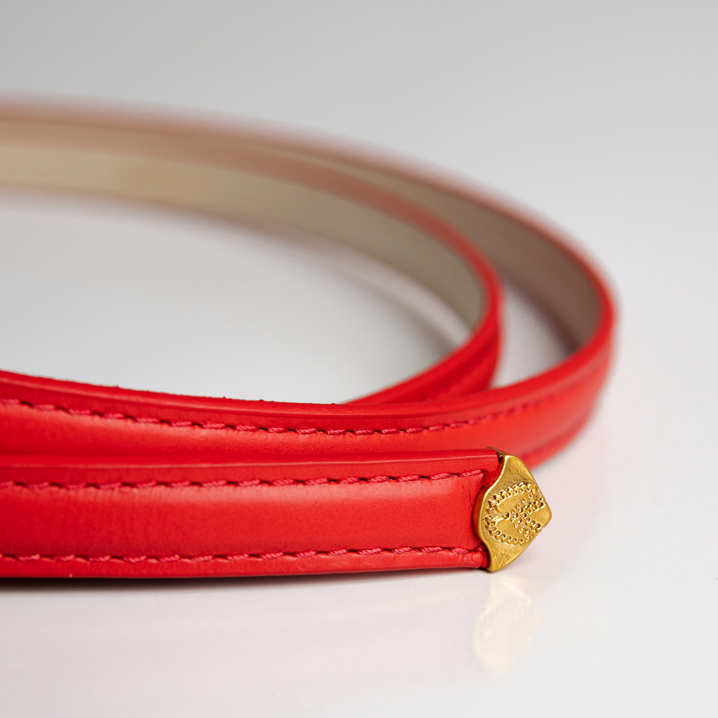 Cinto Vitoria Gloss WOOW